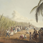 Have We Forgotten Slavery?